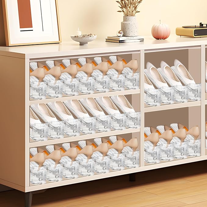 Shoe Slots Organizer, Transparent