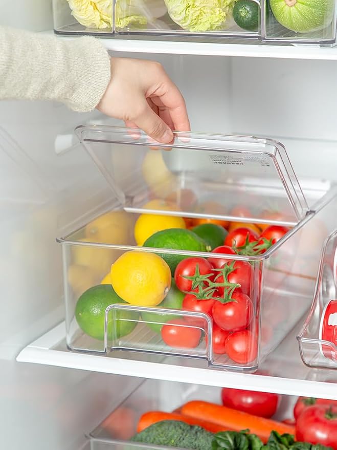 Freezer Containers Food Storage Containers Fridge Containers Plastic