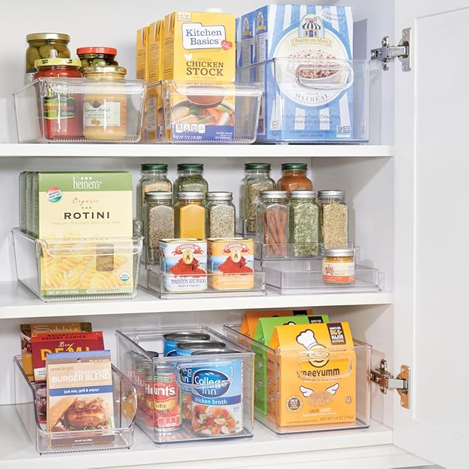 Linus Plastic Fridge and Freezer Storage Organizer Bin with Handle