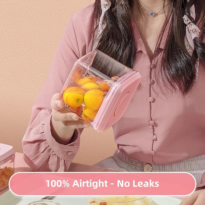 Airtight Food Storage Container