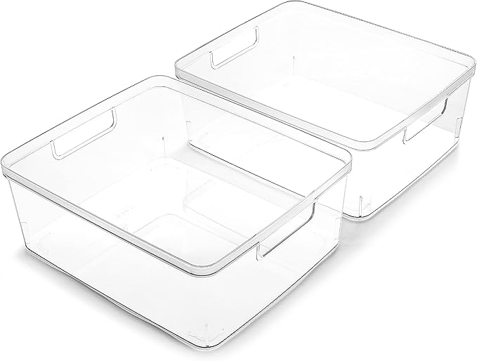 Plastic Storage Bins, Medium, 2 Pack, THE LUCID COLLECTION
