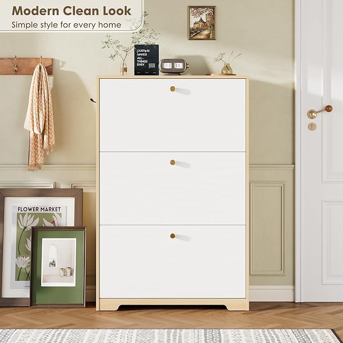 Shoe Storage Cabinet for Entryway, Morden Shoe Cabinet