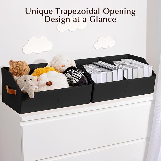 Closet Organizers and Storage Bins, Black