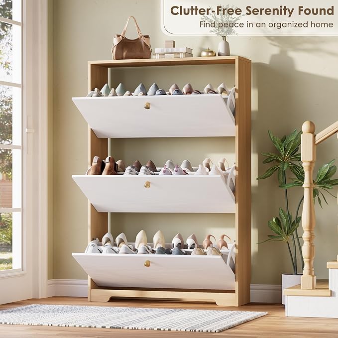 Shoe Storage Cabinet for Entryway, Morden Shoe Cabinet
