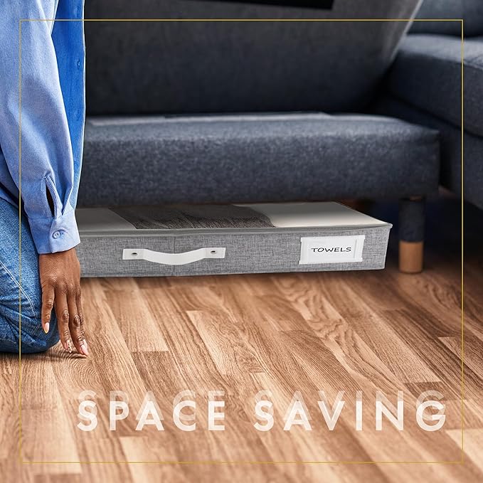 THEORY 2pc Low Profile Under Bed Storage Containers, LightGray