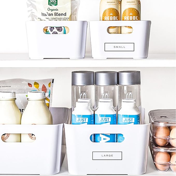 Plastic Storage Bins, Small 2 Pack, White, THE SOHO COLLECTION
