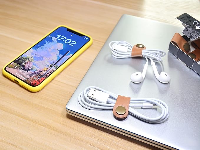 CAILLU Cord Organizer,Cord Keeper,Cable Organizer USB Holder,Cable Management,Cable Straps,Earbud case,wrap Headset Winder,Phone Earphone Clips Ties Stocking Stuffers for Women Men Gifts 10