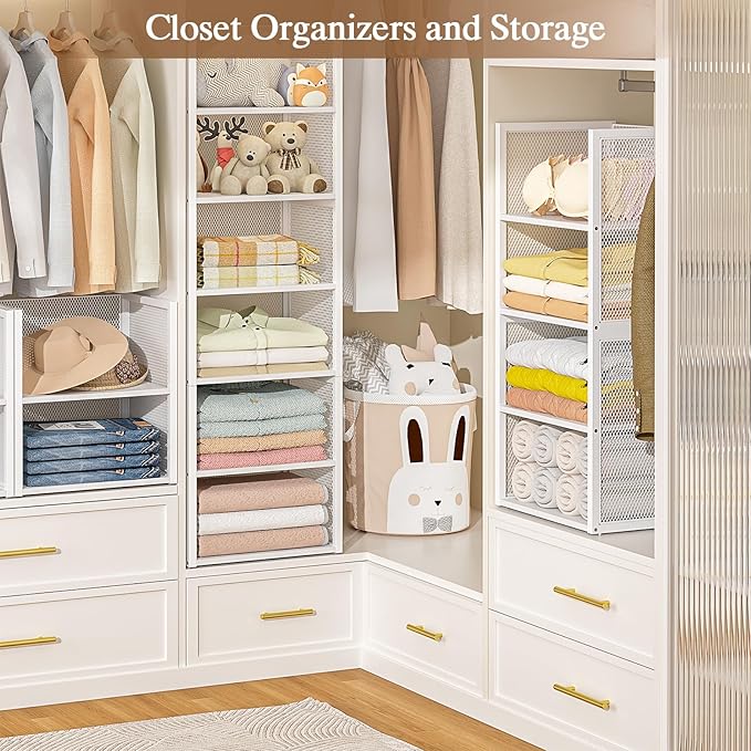 2-Tier Stackable Closet Organizers and Storage Basket, Wire Clothes Shelf Organizer Bins, Sweater Storage for Wardrobe Cupboard, Multifunctional Cube Storage Box for Kitchen Bath Laundry Room, White