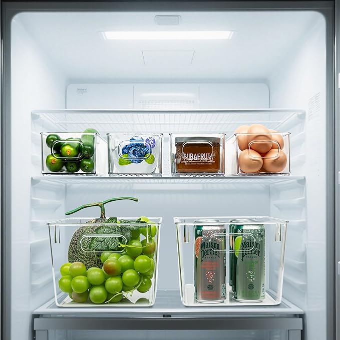 Set of 10 Clear Plastic Storage Bins