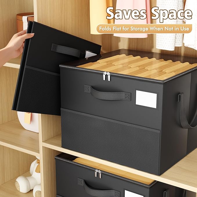 2 Pack Shoe Organizer for Closet, Large Shoe Box Storage Containers, Black