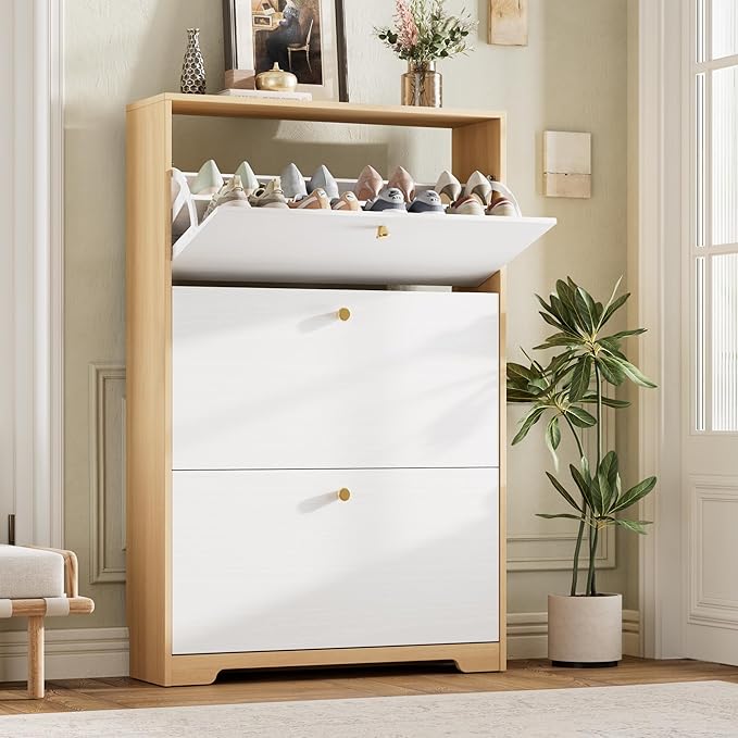 Shoe Storage Cabinet for Entryway, Morden Shoe Cabinet