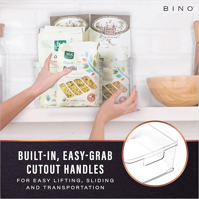 Plastic Storage Bins, Medium, 2 Pack, THE LUCID COLLECTION