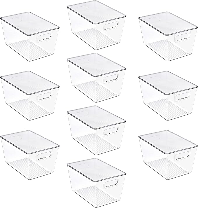 Clear Storage Bins with Lids, 10 Pack Large Organization Bins with Handles