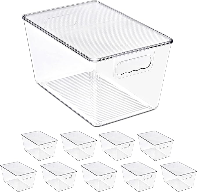 Clear Storage Bins with Lids, 10 Pack Large Organization Bins with Handles