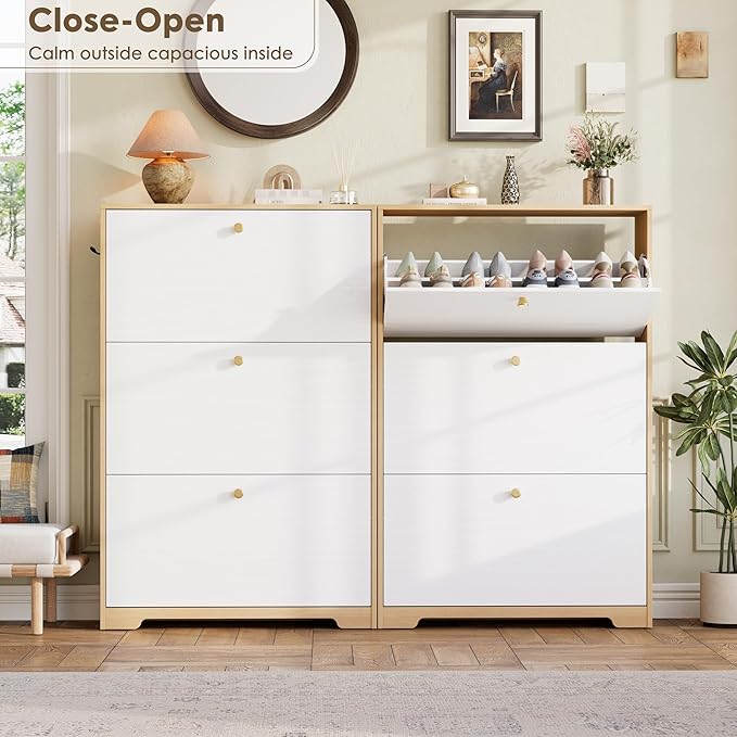Shoe Storage Cabinet for Entryway, Morden Shoe Cabinet