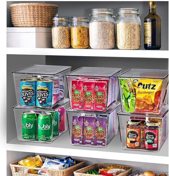 Clear Storage Bins with Lids, 10 Pack Large Organization Bins with Handles