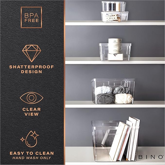 Plastic Storage Bins, Medium, 2 Pack, THE LUCID COLLECTION